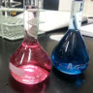 Meet your Posher, Haseeba